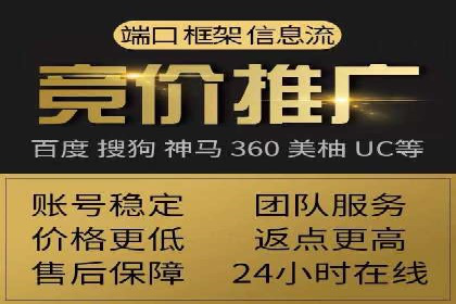 行业领先的SEM竞价广告投放案例